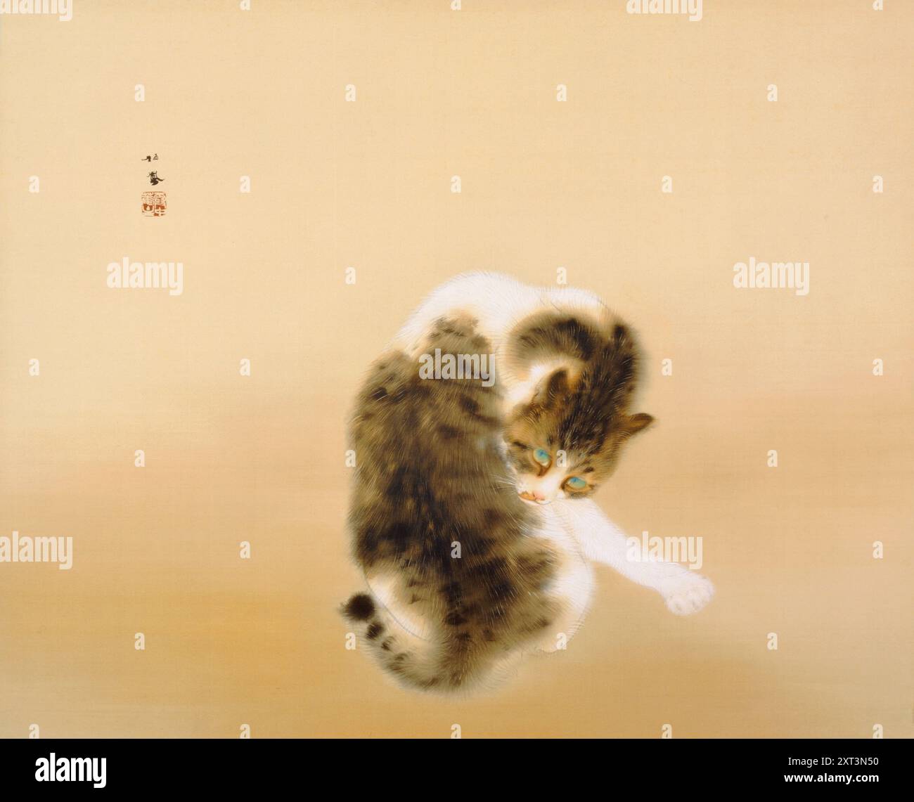 Japanese tabby cat hi-res stock photography and images - Alamy