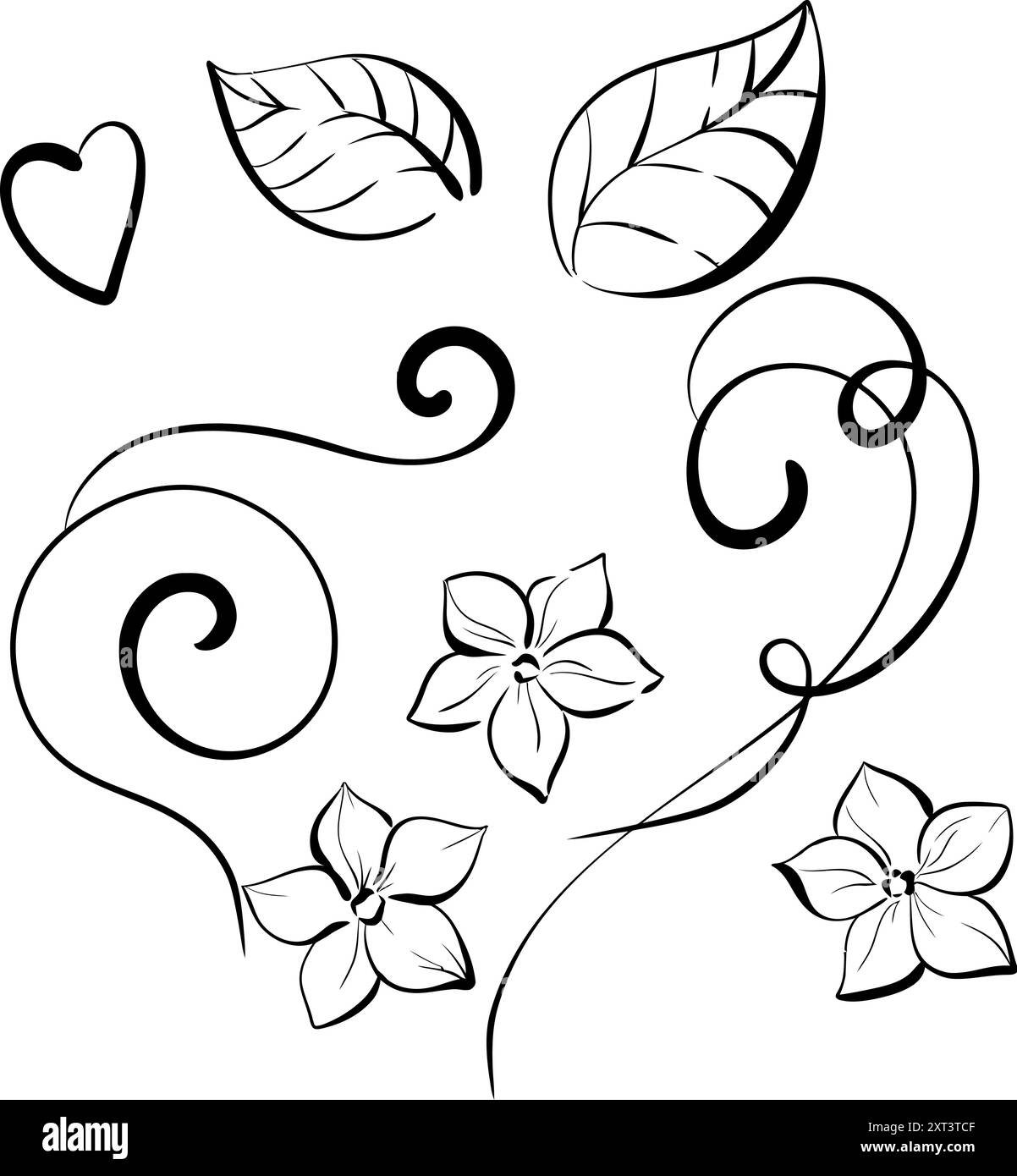 Vector set Spring flowers and leaves, forget me nots. Brunch, doodle ...