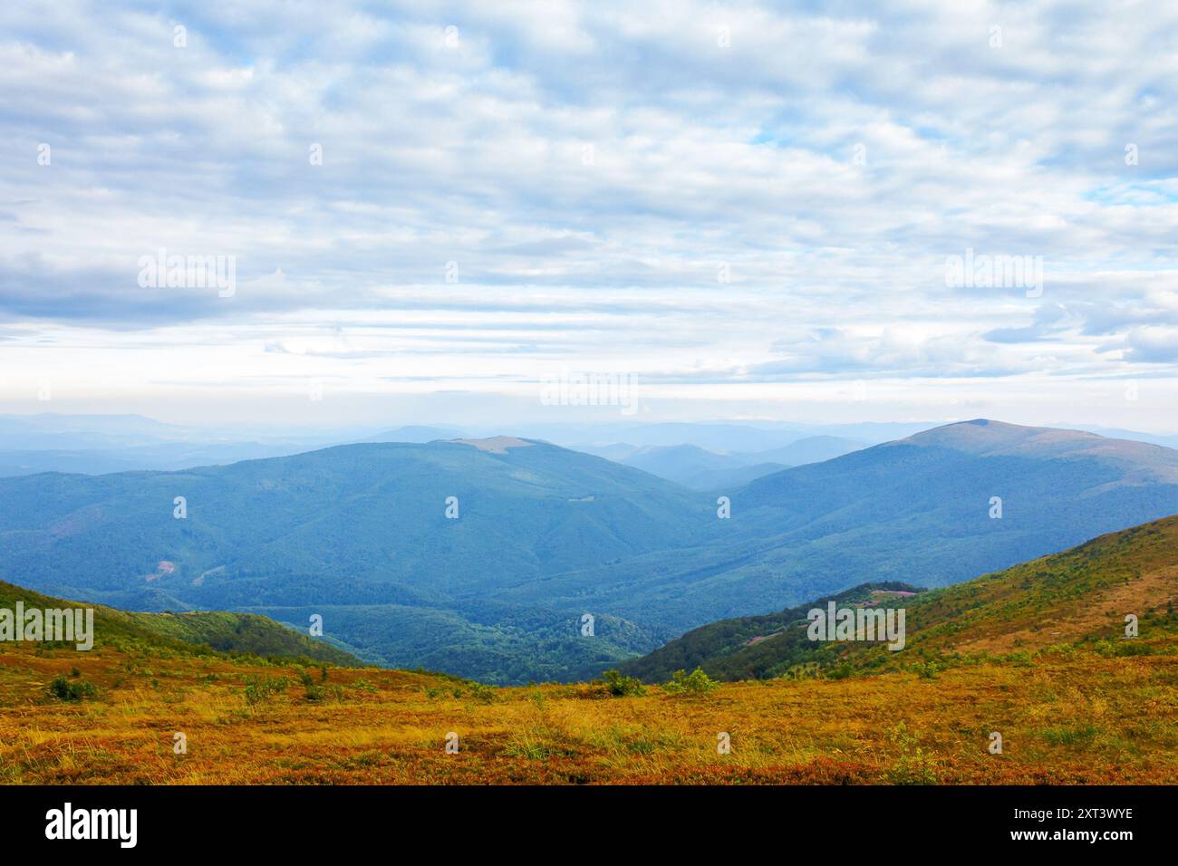carpathian nature landscape with grassy hills. mountain scenery in late summer. cloudy morning. view in to the distant valley Stock Photo