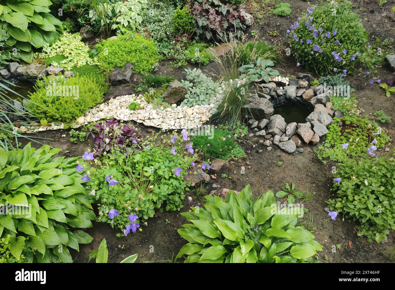 Ornamental grass rockery garden hi-res stock photography and images - Alamy
