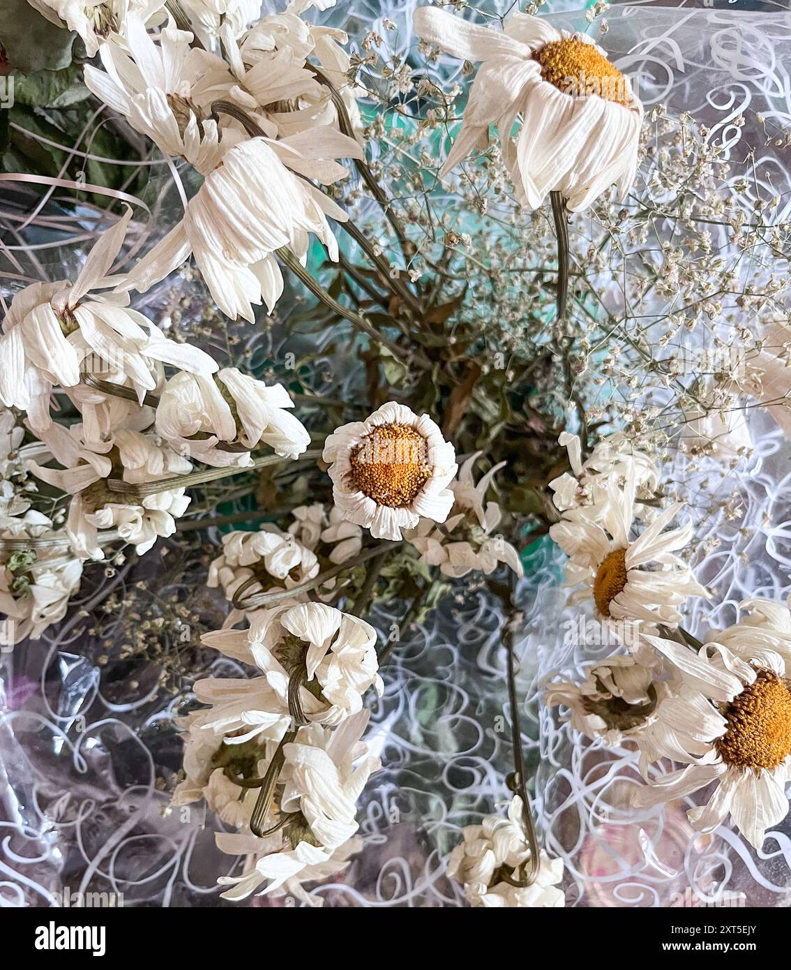 a dried bouquet of chamomile flowers Stock Photo - Alamy
