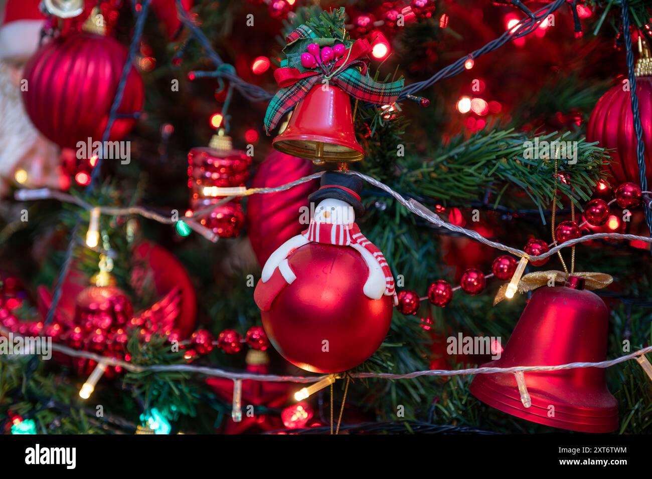 Unpacking christmas tree hi-res stock photography and images - Alamy