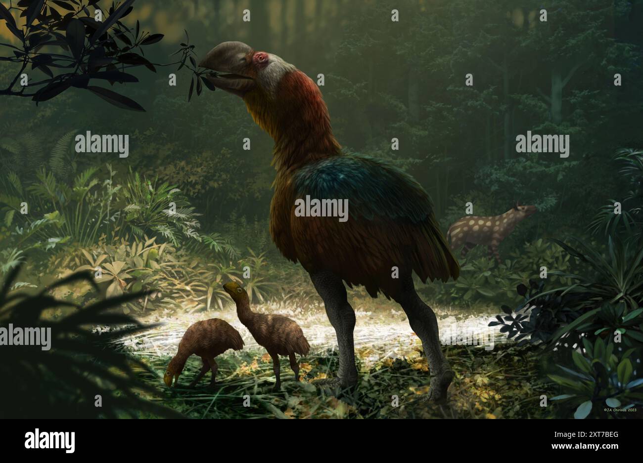 Illustration of a Gastornis sp. flightless bird and her chicks ...