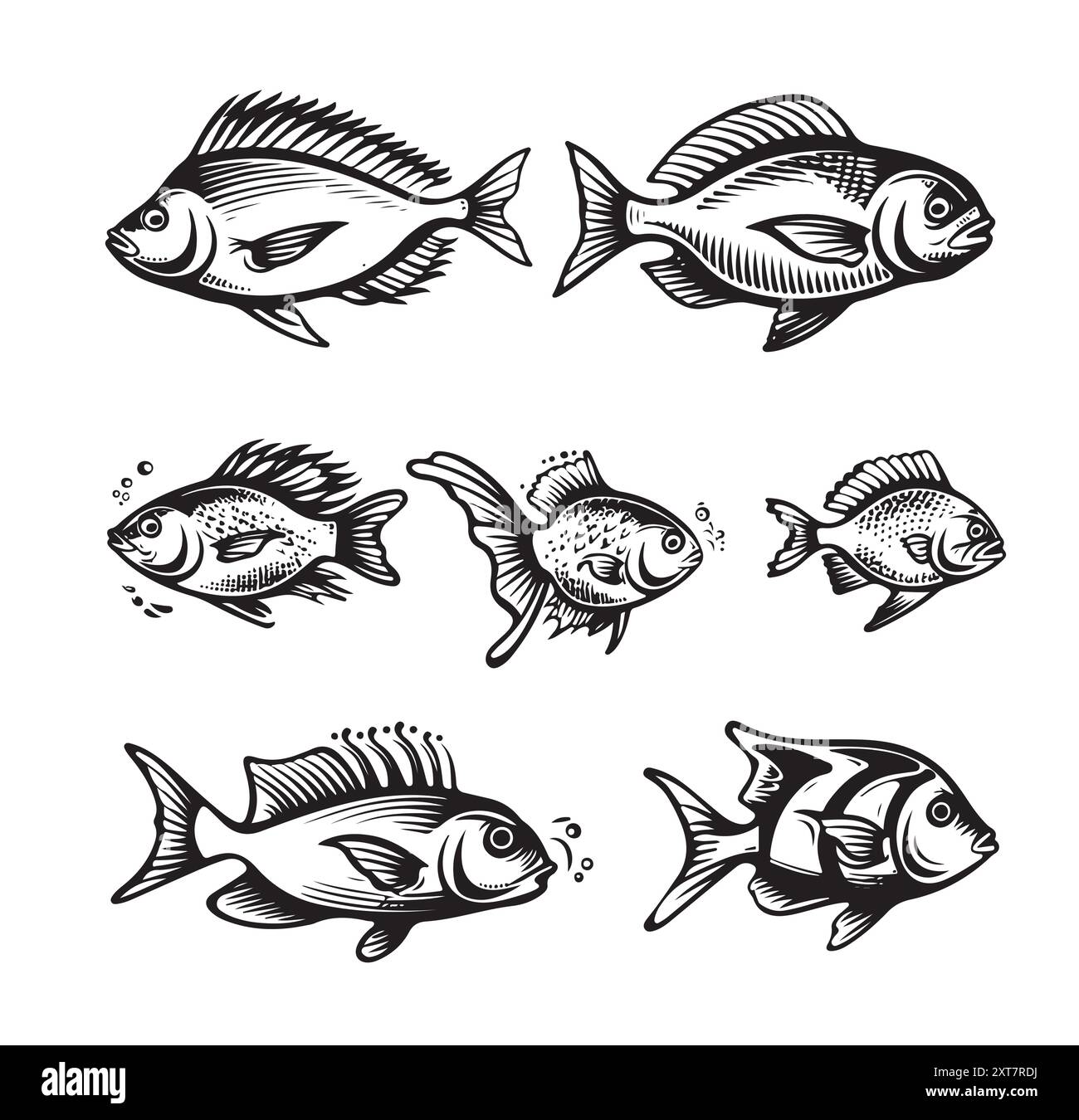 fish set. Isolated object on white background. Menu design Stock Vector ...