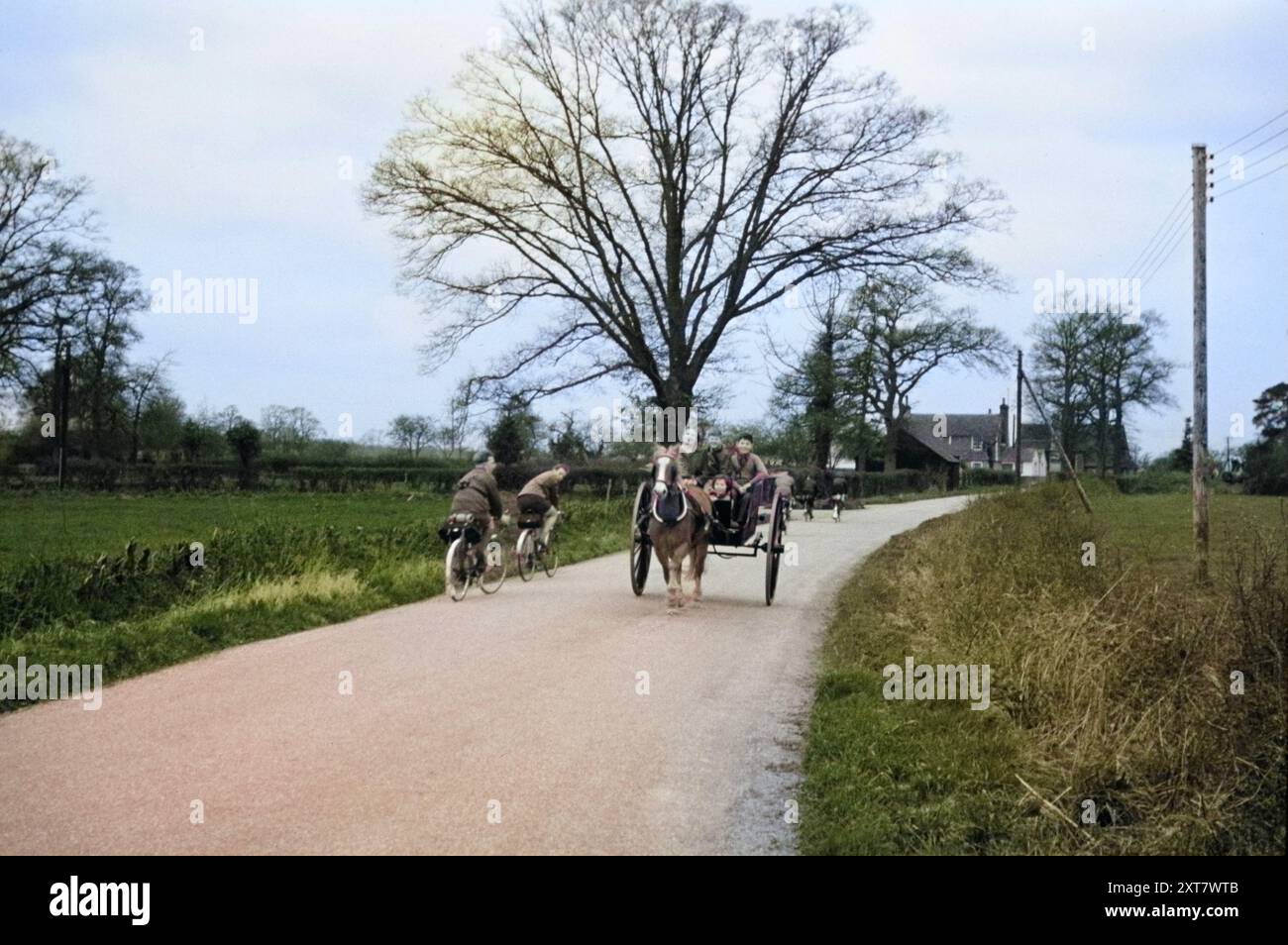 People riding in one horse two wheeled carriage passing cyclists on country road lane, UK 1957 Stock Photo