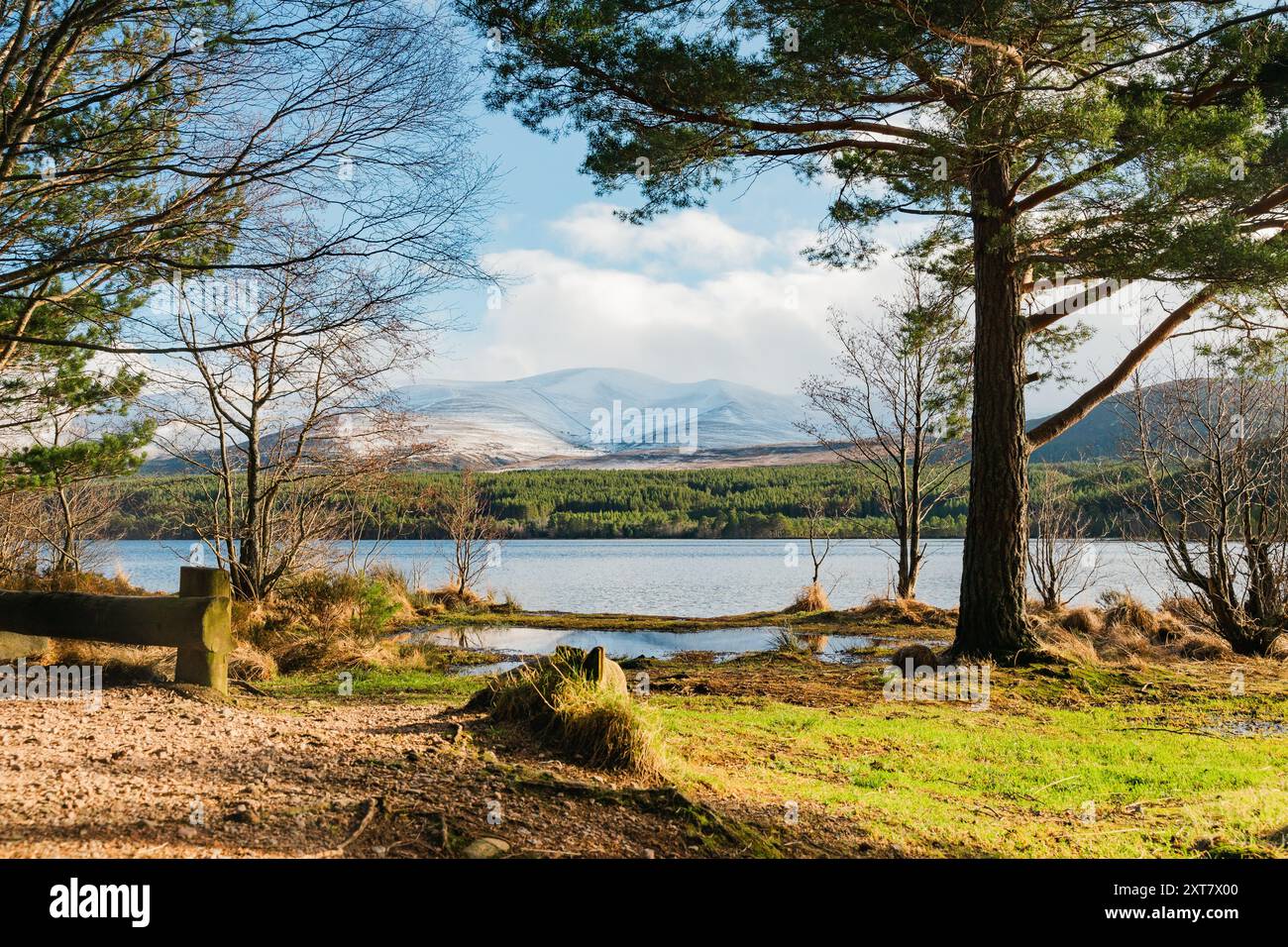 Loch Morlich in Winter, Cairngorms, Scotland, UK Stock Photo