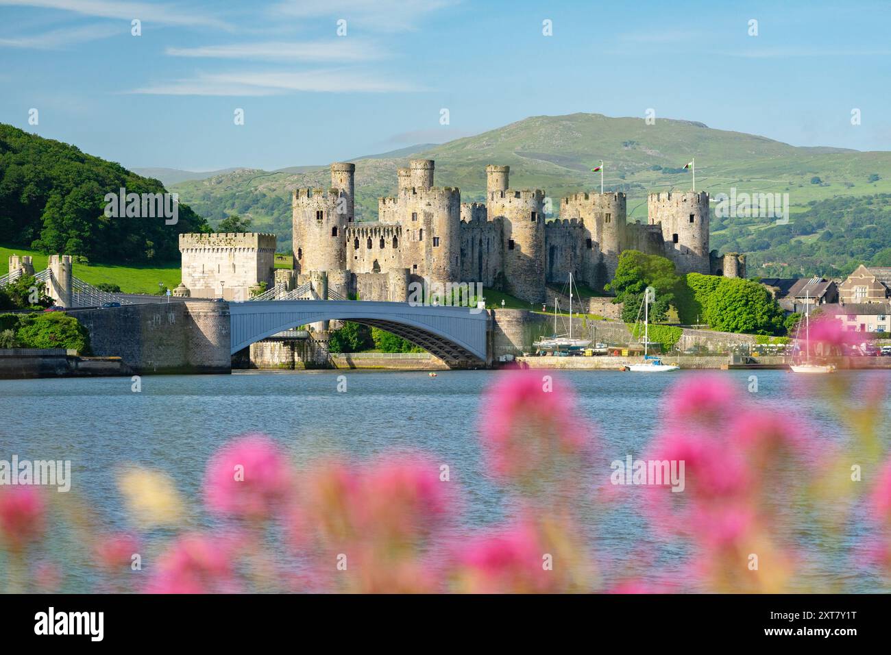 Spring Wales Conwy Castle in Spring - North Wales, UK Stock Photo - Alamy