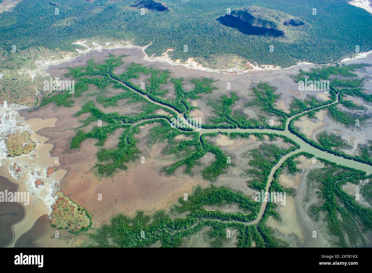 Mandelbrot tree-like pattern of vegetation around a stream, East Kimberley, Western Australia, aerial view Stock Photo