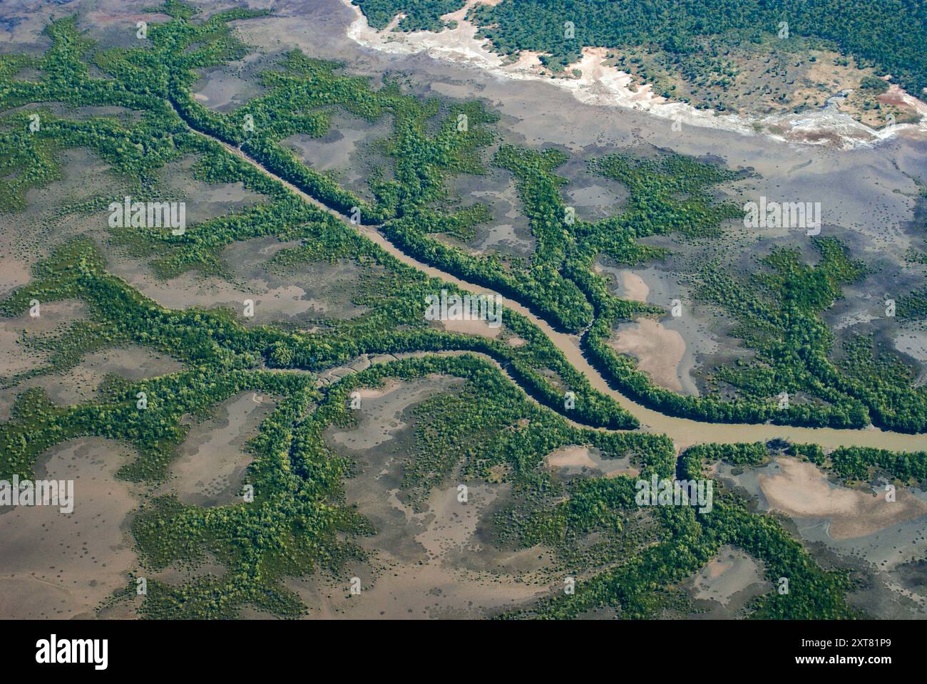 Stream pattern with Mandelbrot tree-like branches, East Kimberley, Western Australia, aerial view Stock Photo
