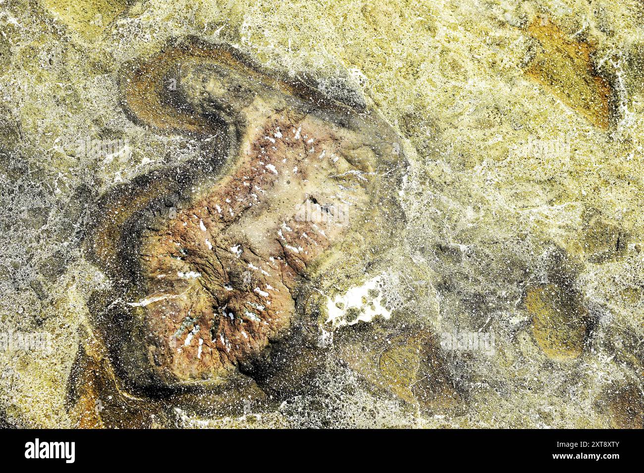 Natural stone surface close hi-res stock photography and images - Alamy