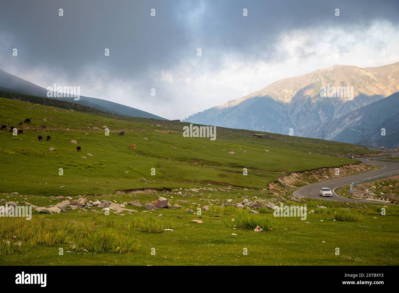 Yuqori sifatli 720 HD porno