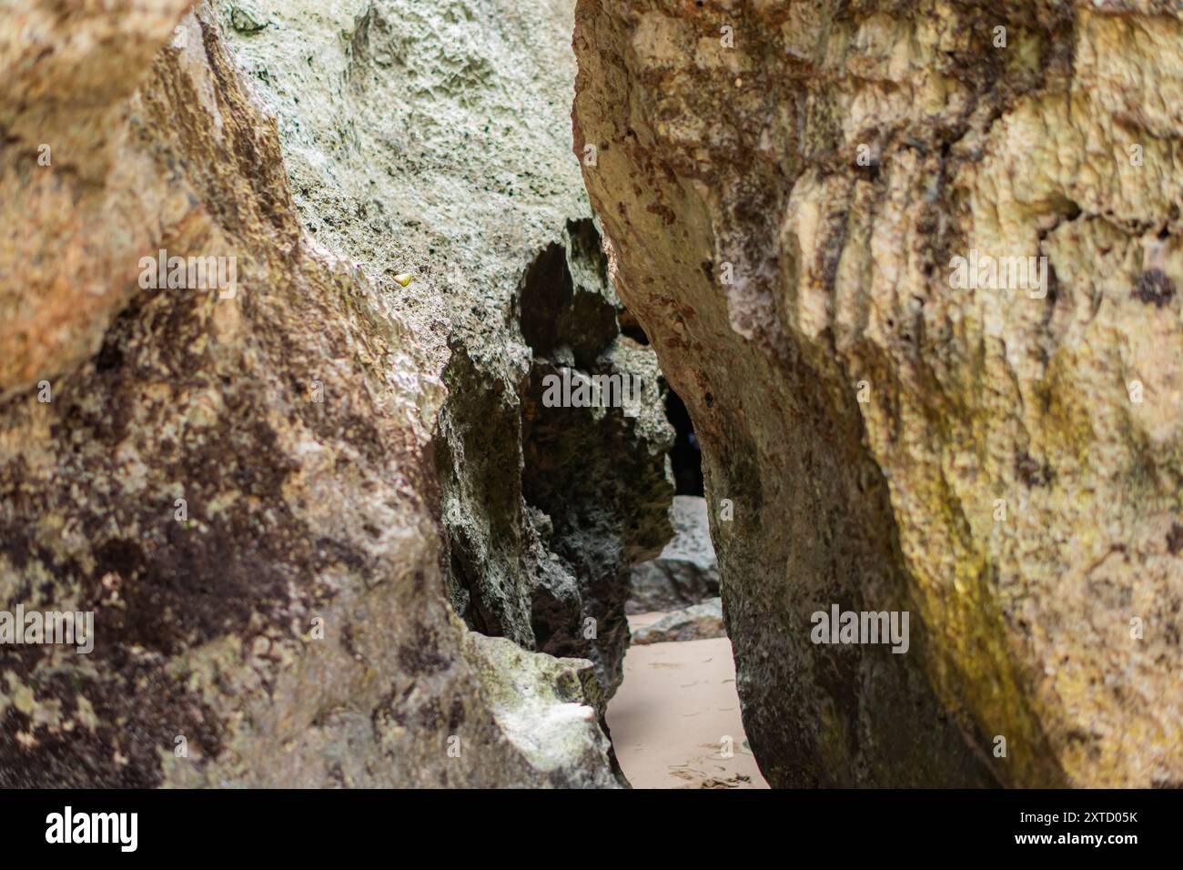 Rock surfaces on beach hi-res stock photography and images - Alamy