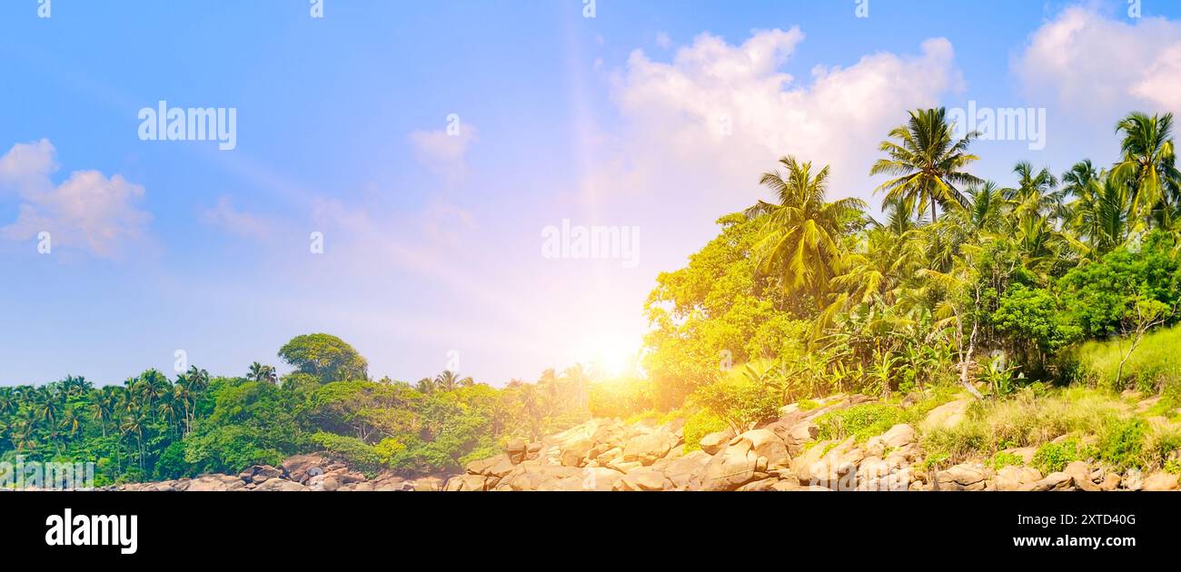 Jungle sunrise palm trees hi-res stock photography and images - Alamy