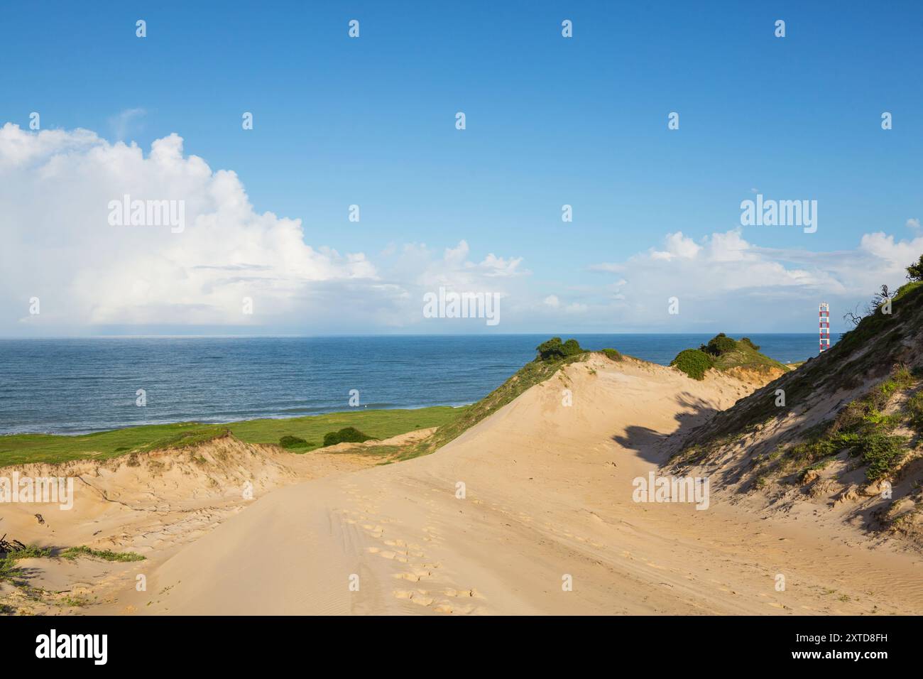 Dunes on beach in brazil hi-res stock photography and images - Alamy