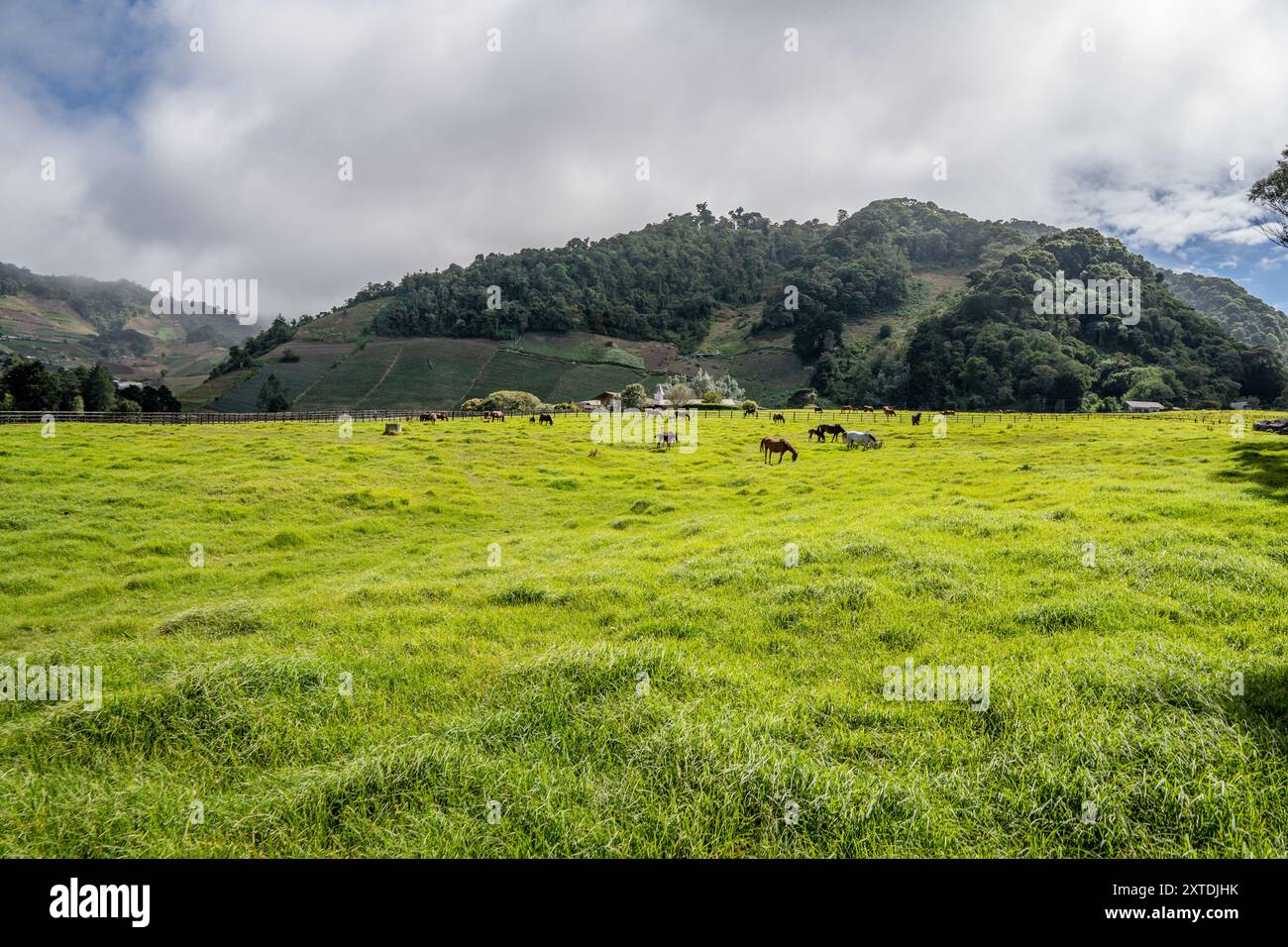 Cerro punta chiriqui hi-res stock photography and images - Alamy