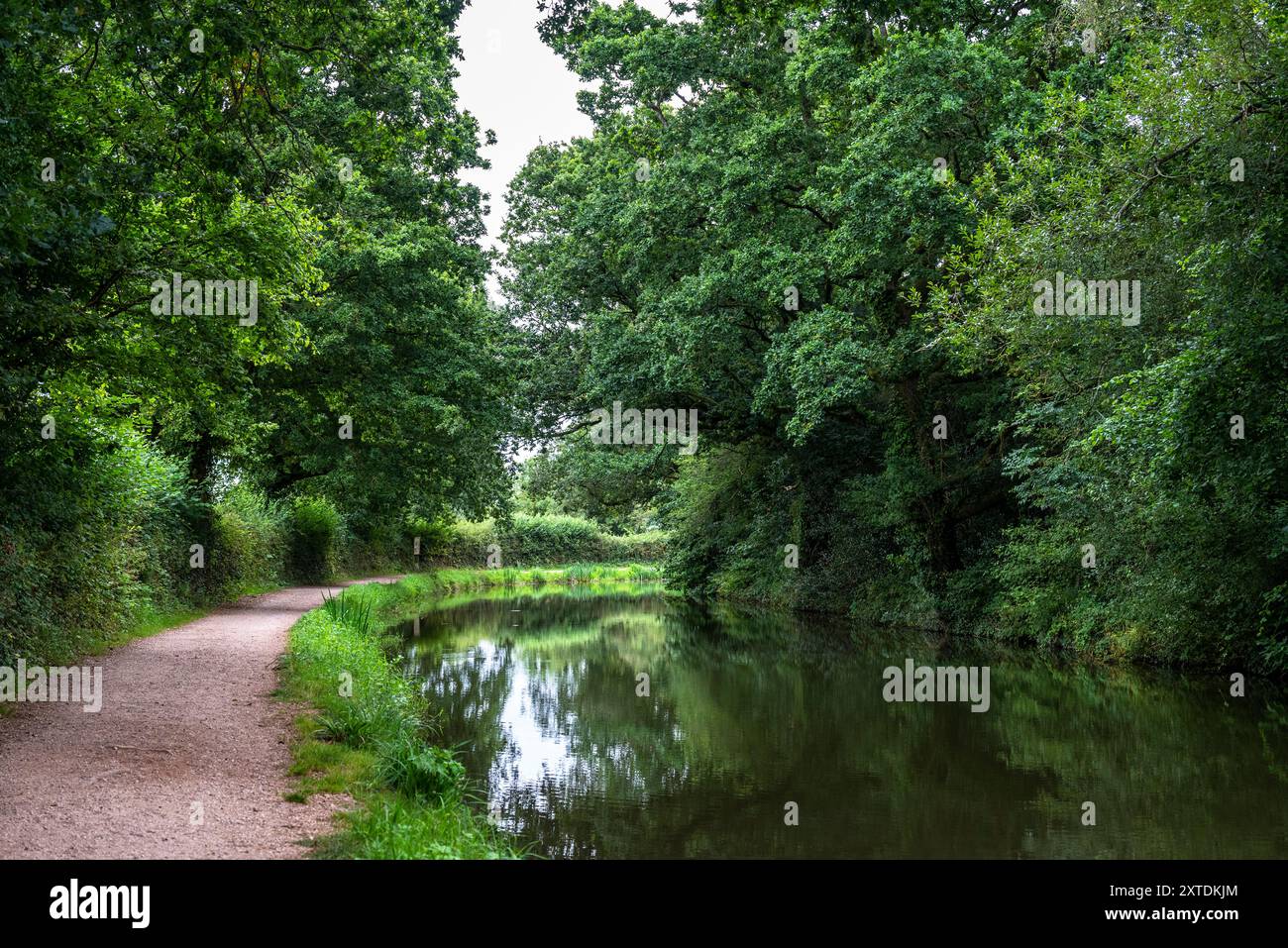 Grand Western Canal Country Park and Local Nature Reserve meanders for ...
