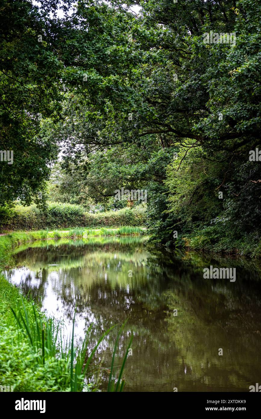 Grand Western Canal Country Park and Local Nature Reserve meanders for ...