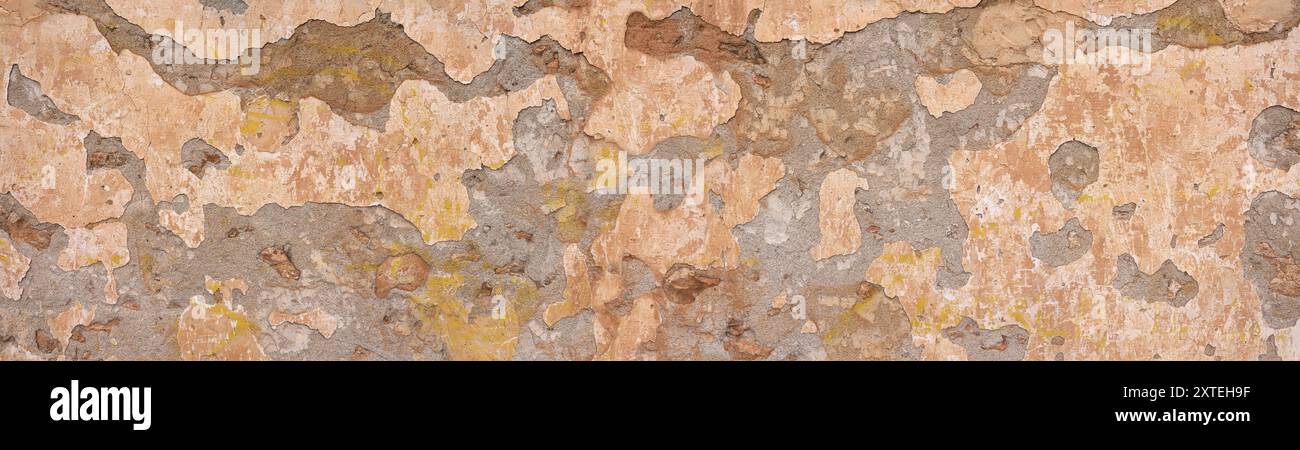Old panoramic wall with partly fallen brown plaster - vintage architecture Stock Photo