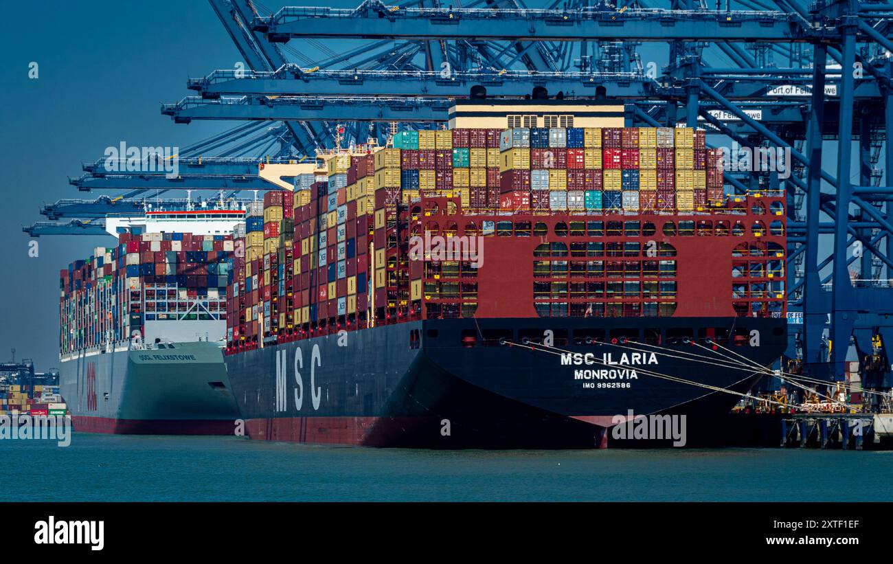 MSC ILARIA at Felixstowe Port in the UK. Built in 2024 the Ilaria is currently sailing under the flag of Liberia. Stock Photo