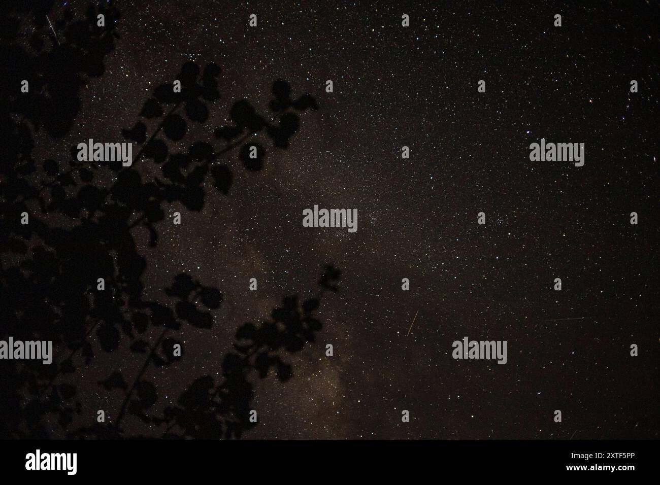 STARRY SKY WITH THE MILKY WAY Stock Photo - Alamy