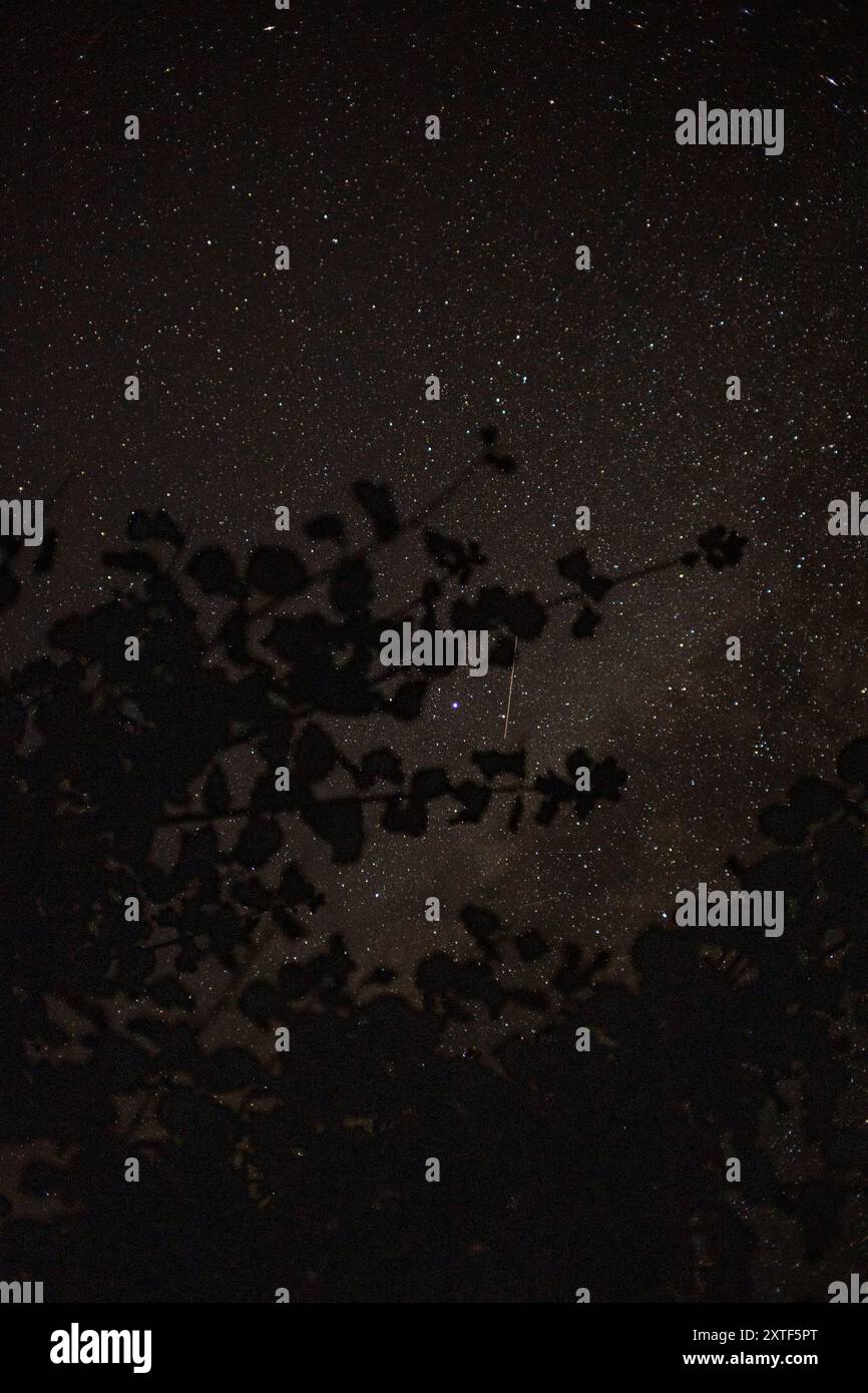 STARRY SKY WITH THE MILKY WAY Stock Photo - Alamy