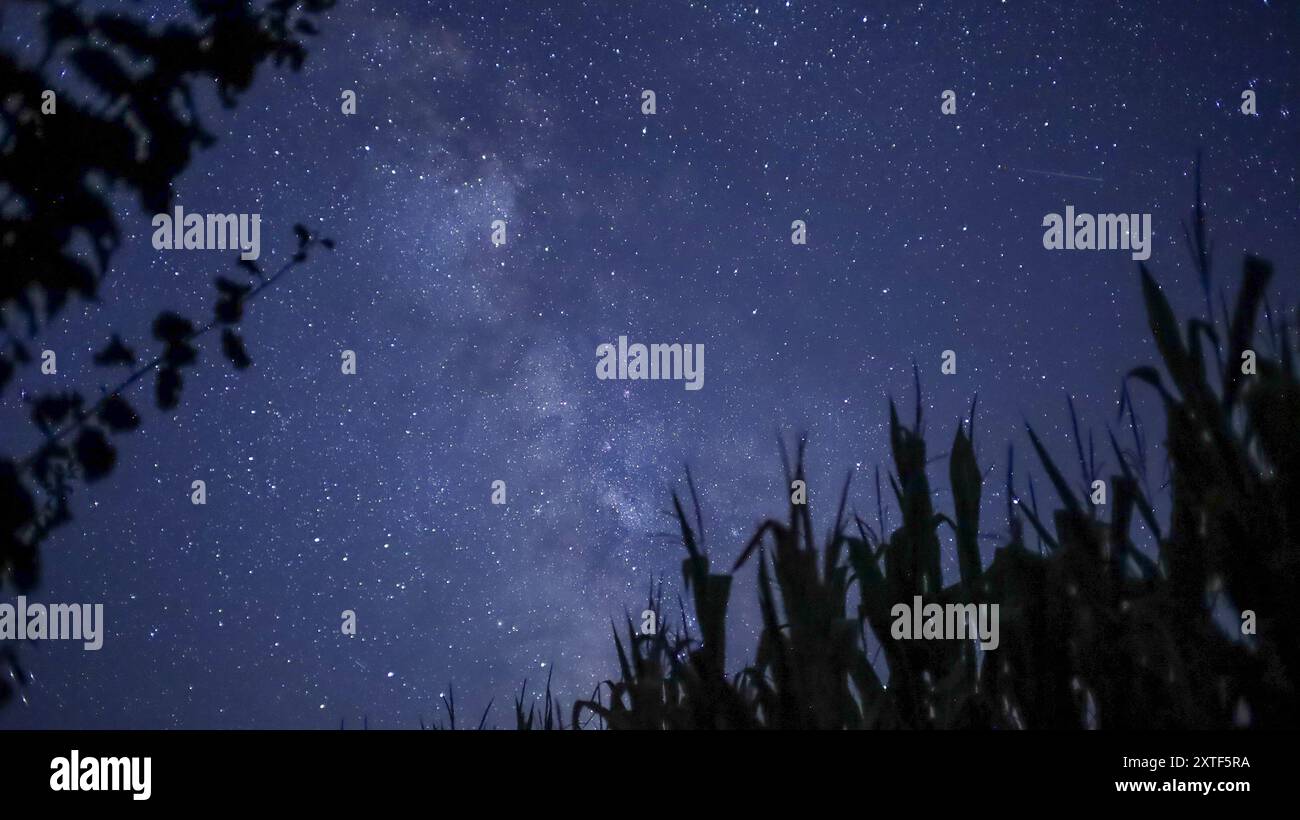 STARRY SKY WITH THE MILKY WAY Stock Photo - Alamy