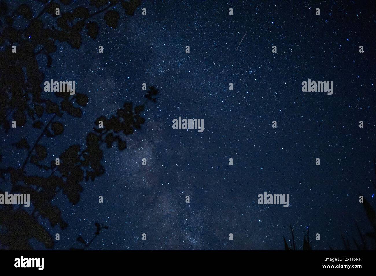 STARRY SKY WITH THE MILKY WAY Stock Photo - Alamy