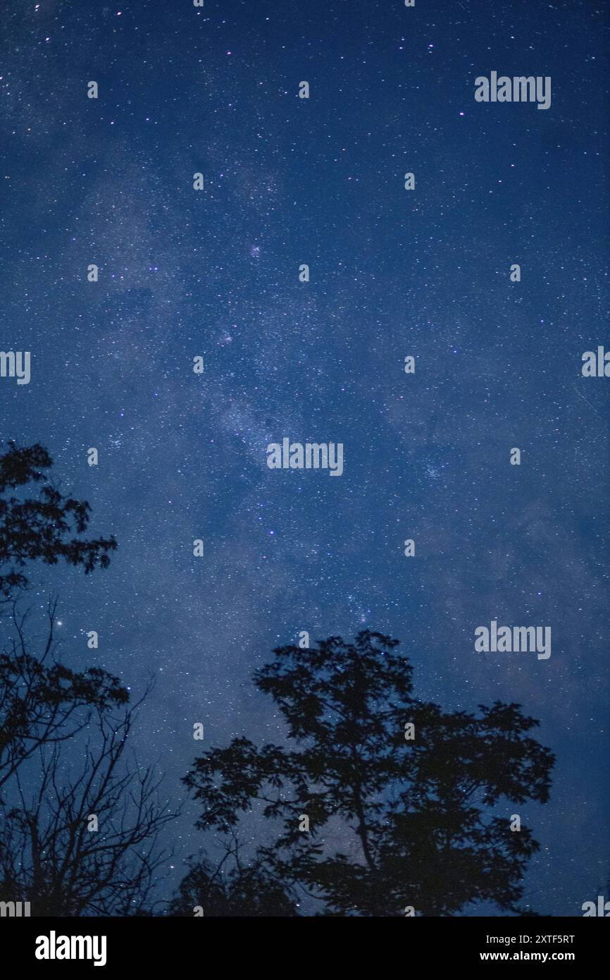 STARRY SKY WITH THE MILKY WAY Stock Photo - Alamy