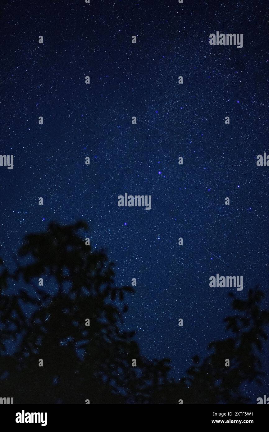 STARRY SKY WITH THE MILKY WAY Stock Photo - Alamy