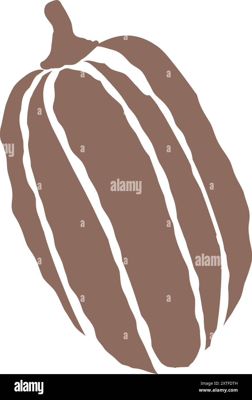 Detailed illustration of a long pumpkin against a plain background in ...