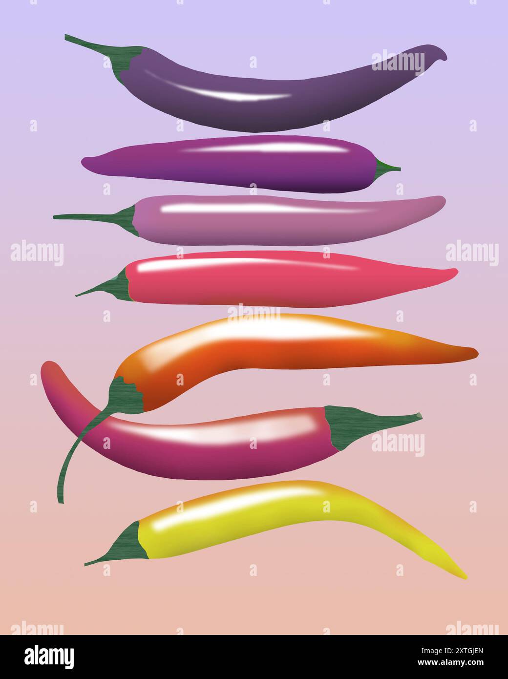 Chili peppers of many colors are seen isolated on a white background ...