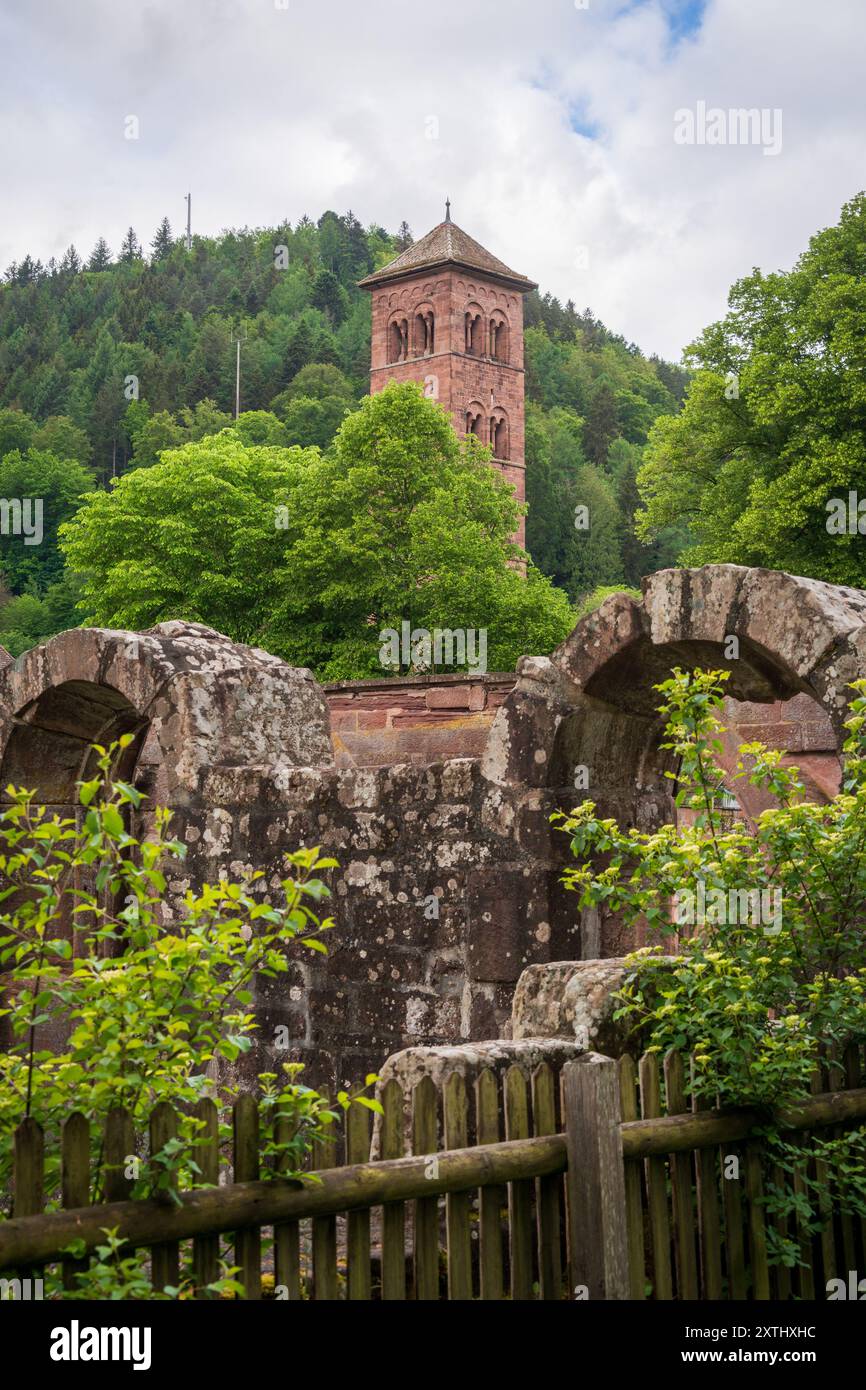 The Hirsau Abbey, formerly known as Hirschau Abbey in the Black Forest, Benedictine abbeys of Germany in Calw, Baden-Württemberg Stock Photo