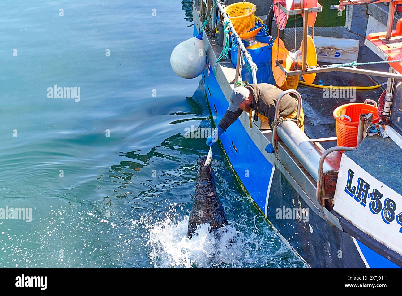 From the fishing port of fraserburgh hi-res stock photography and ...
