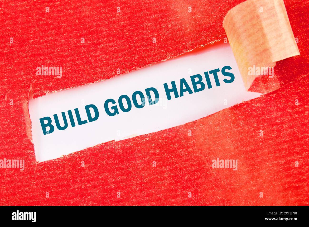 motivational reminder development concept words BUILD GOOD HABITS on a ...