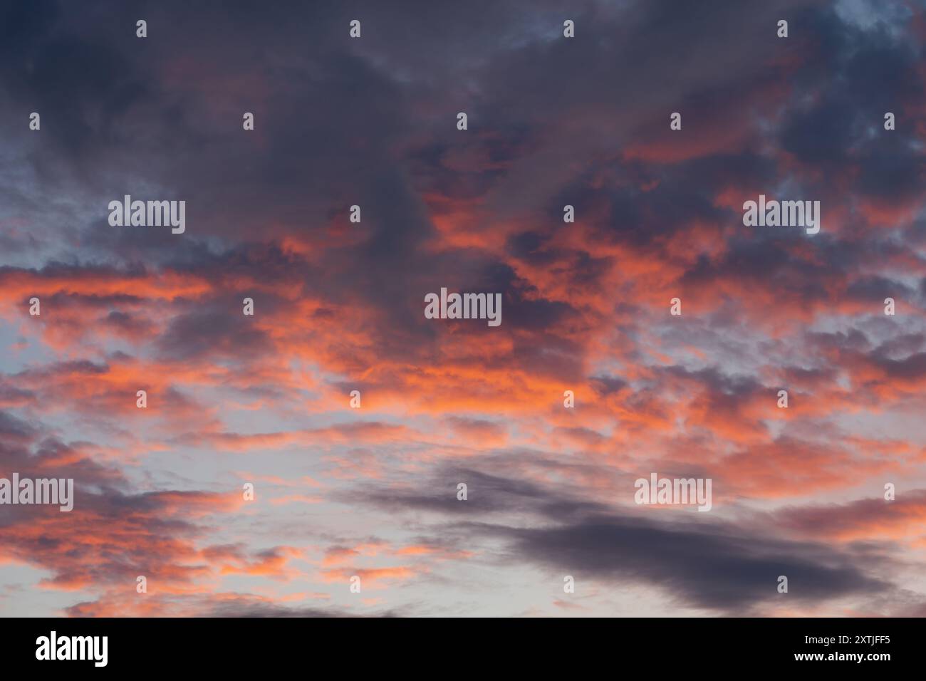 Photo background texture, sky during sunset with cumulus clouds of ...