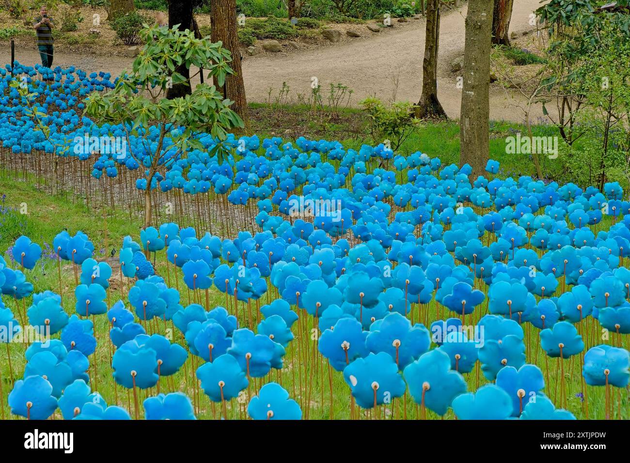 Ceramic sculptures of vibrant blue poppy flowers forming a breathtaking ...