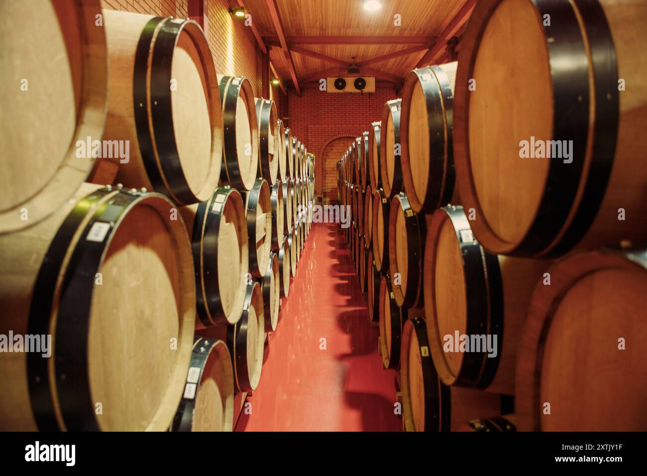 Dimly lit cellar wine barrels hi-res stock photography and images - Alamy