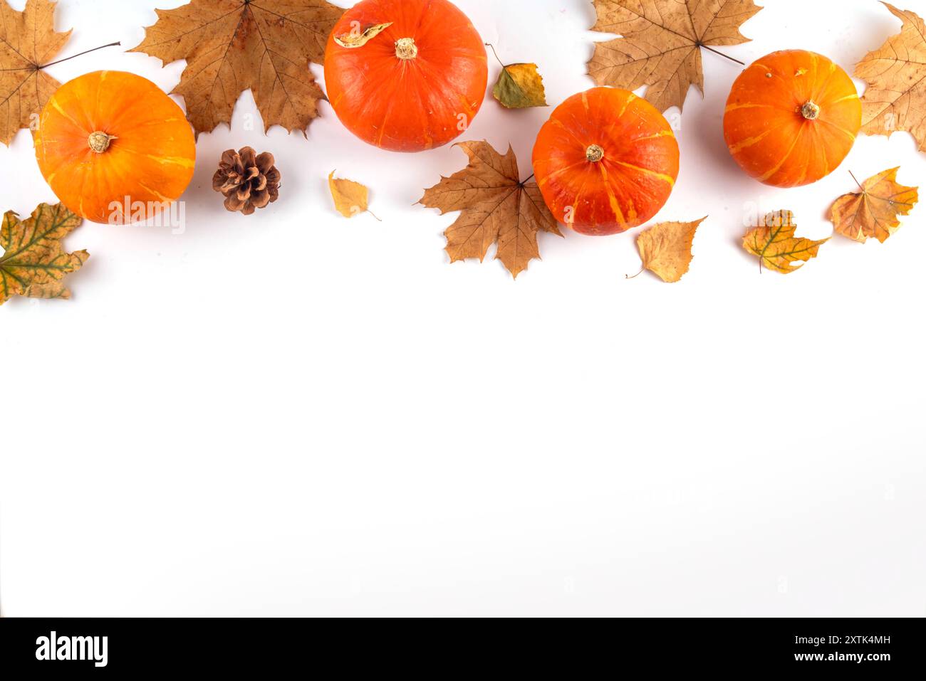 Autumn leaves and pumpkins flat lay on white background. Fall holidays ...