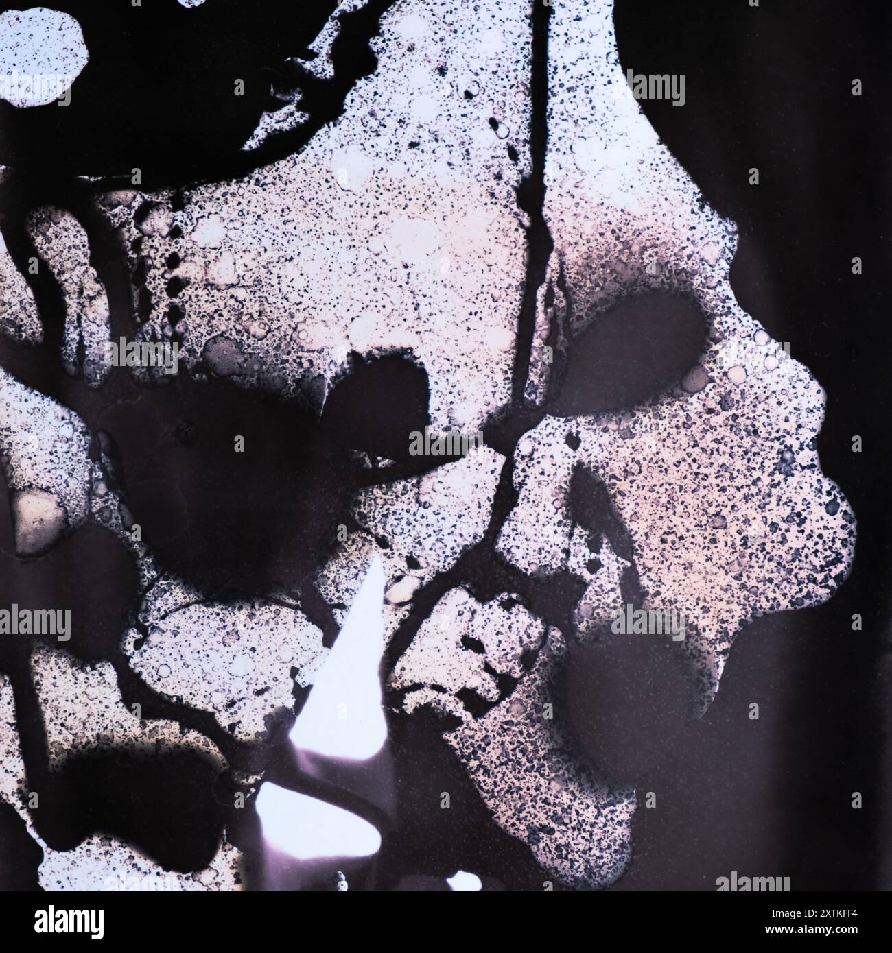 Chimogram Abstract chemigram image representing a tiger's skull. Shapes and ...