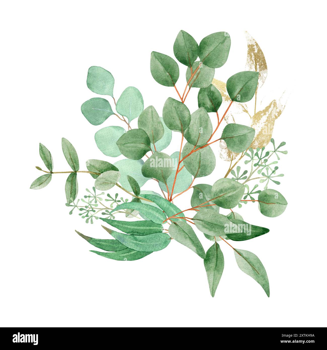 Watercolor bouquet with green and gold eucalyptus branches, isolated on ...