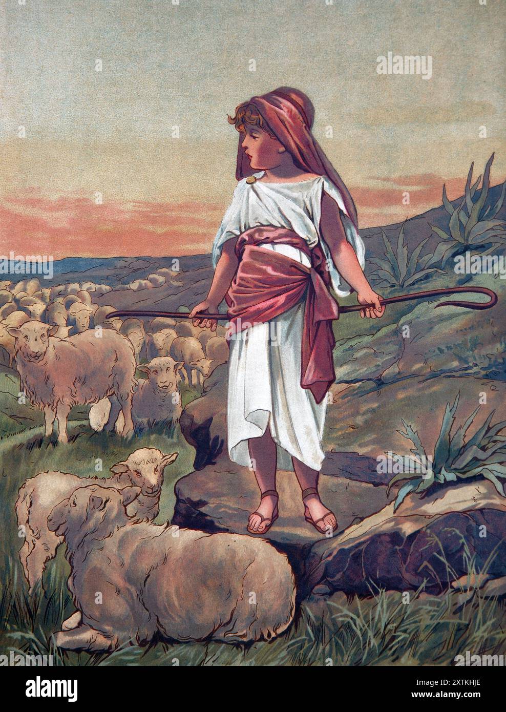 The Shepherd king - Young David looking after his flock in Bethlehem from the Antique Children's book God is Love Stock Photo