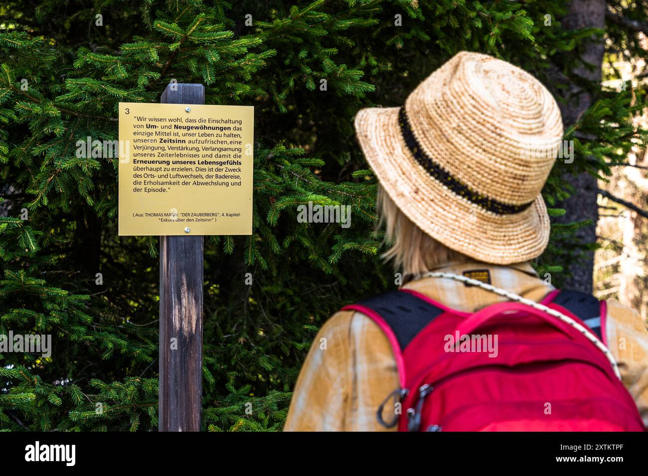 A walker reads a text panel with quotes from ‘The Magic Mountain’ on the Thomas Mann Trail in Davos. The trail leads from the former forest sanatorium (now the Waldhotel Davos) at an altitude of around 1,620 metres to the Schatzalp at an altitude of 1,880 metres. Quotation boards on the Thomas Mann Trail between Davos and the Schatzalp above. The former Schatzalp sanatorium above Davos is now a hotel. Thomas-Mann-Weg, Davos, Grisons, Switzerland Stock Photo