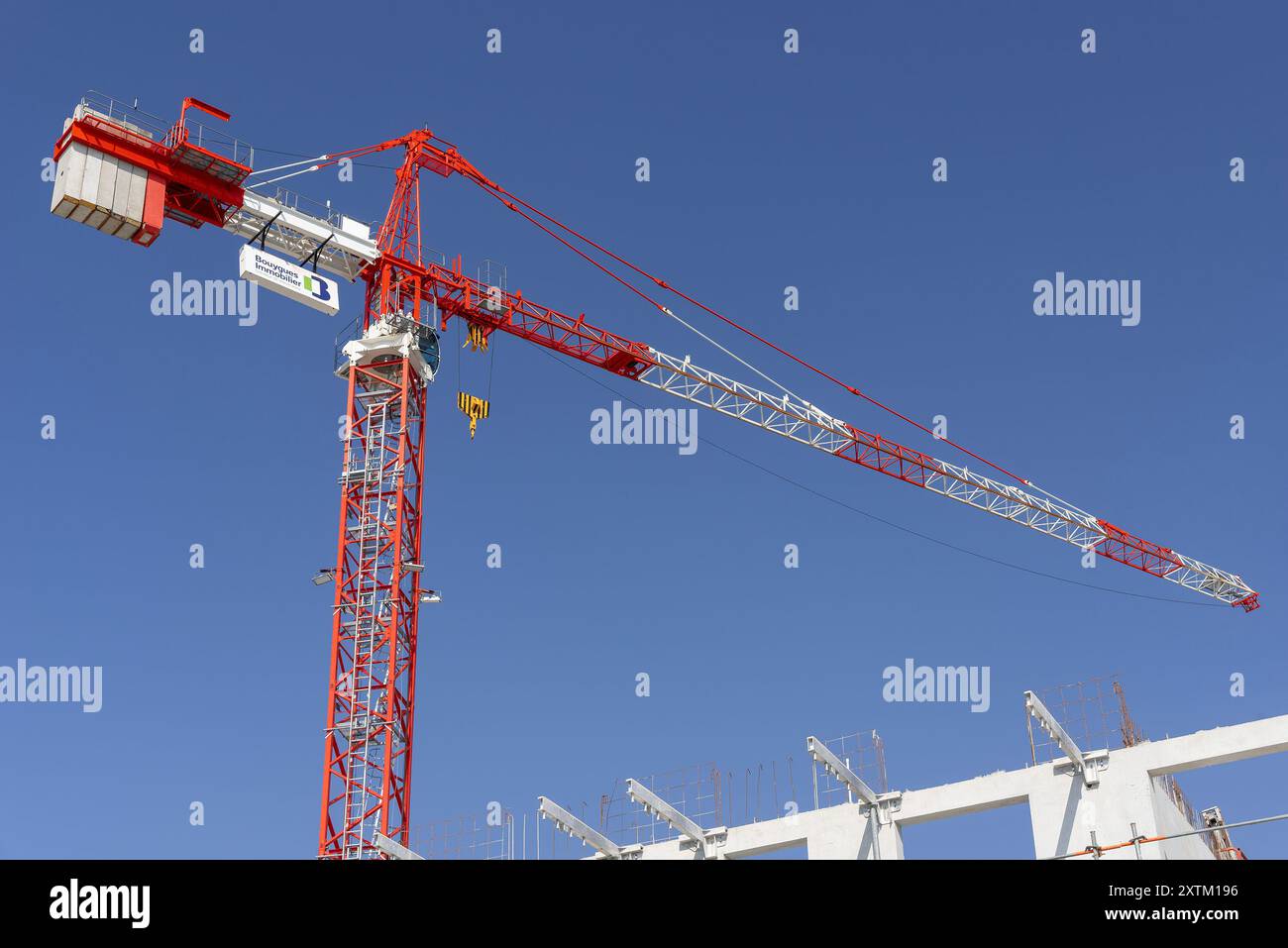 【原画】『Crane in the Clouds』 17,274 Crane Clouds Stock Photos, High-Res Pictures, and
