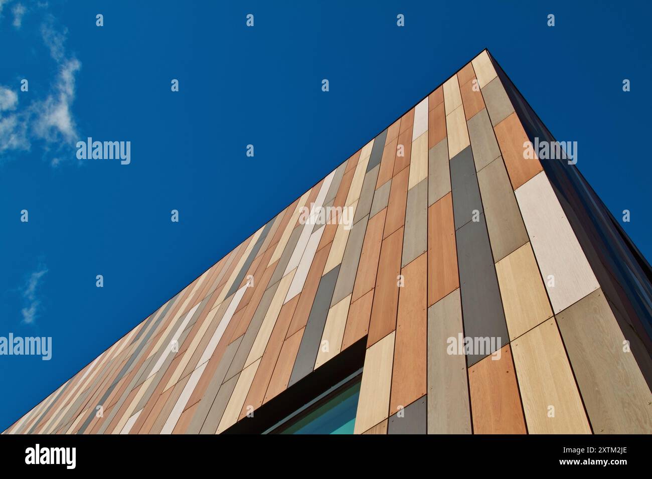 Detail Of The MultiColoured Trespa Cladding Of The Jigsaw Building At The Royal Bournemouth Hospital Used For Womens Health Stock Photo