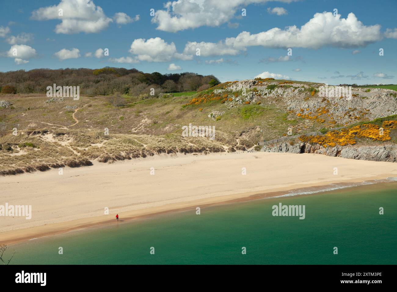 Barafundle bay and beach on the Pembrokeshire coast of Wales in the UK ...