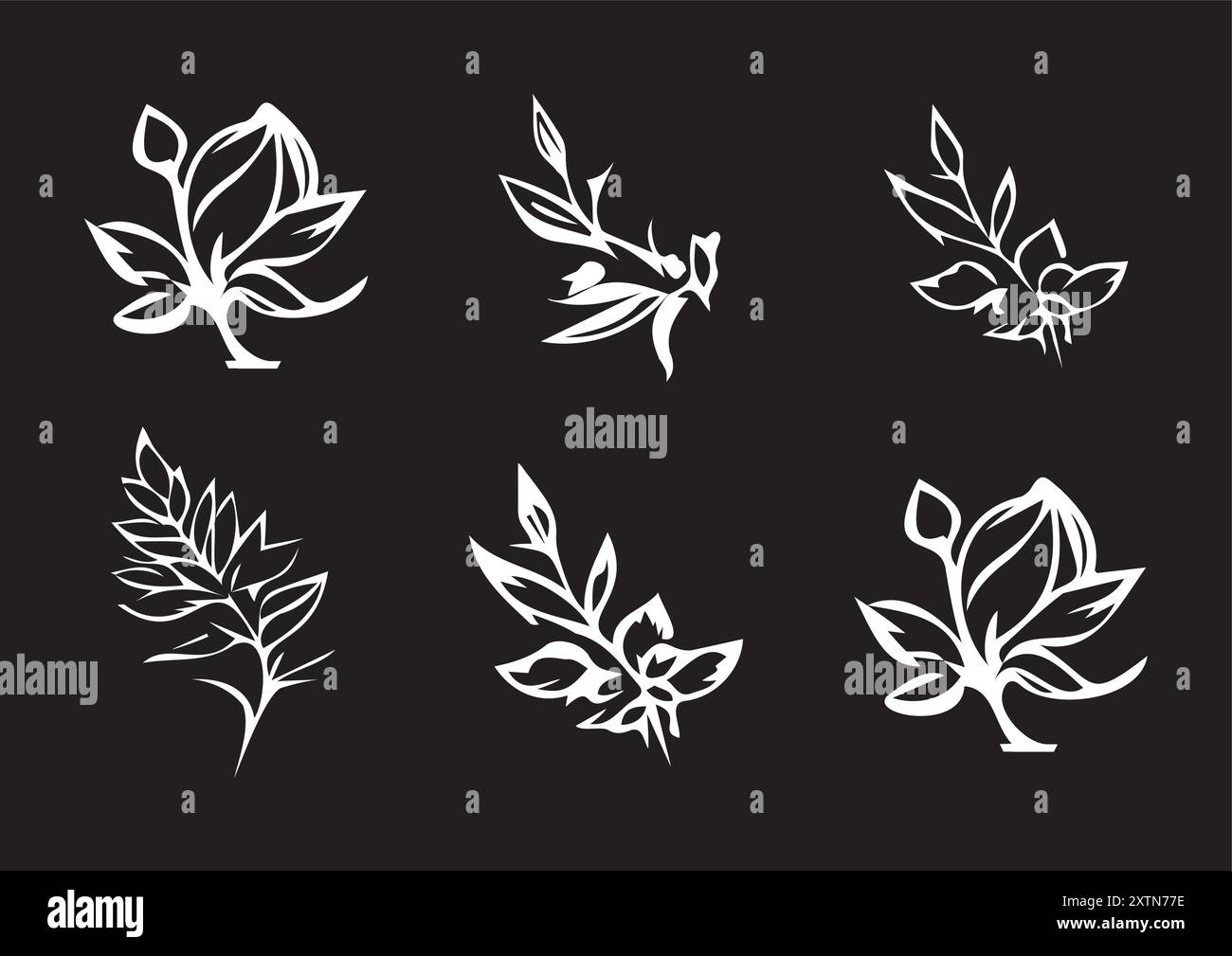 Elegant Monochrome Botanical Illustrations Collection Stock Vector