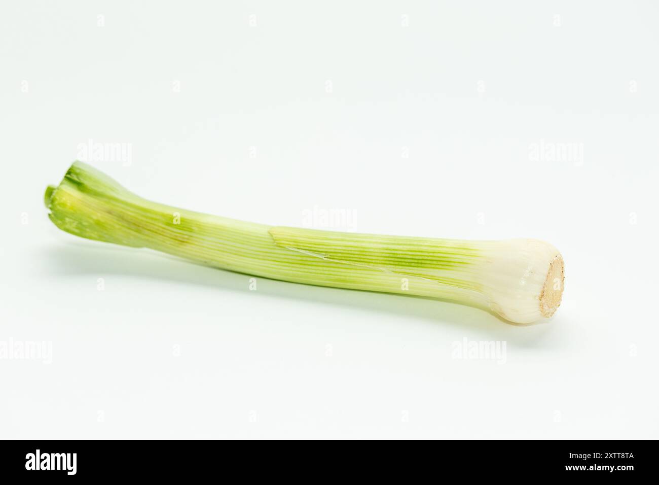 peeled green celery stalk on white background Stock Photo