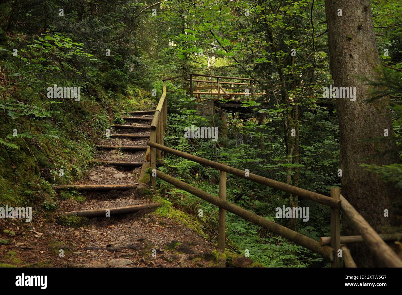 Rabenschlucht hi-res stock photography and images - Alamy