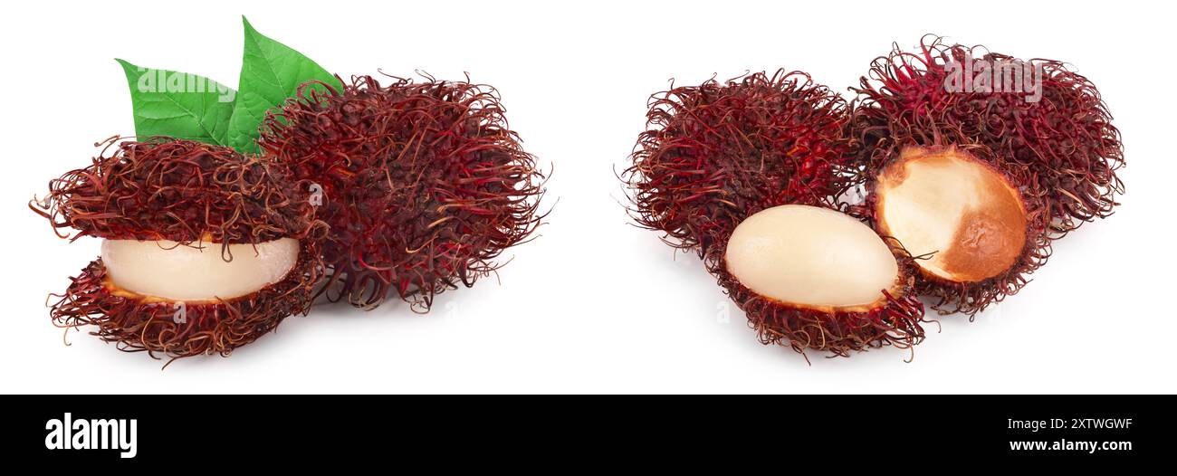 rambutan isolated on white background. Tropical fruit. Nephelium ...