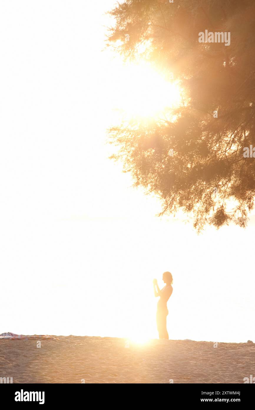 Silhouetted woman standing under a tree at the beach during sunset ...